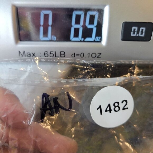 I&M Kylie High Rise Cuffed Shorts Stretch Denim Dark Wash Medium Womens NWT - Picture 12 of 12